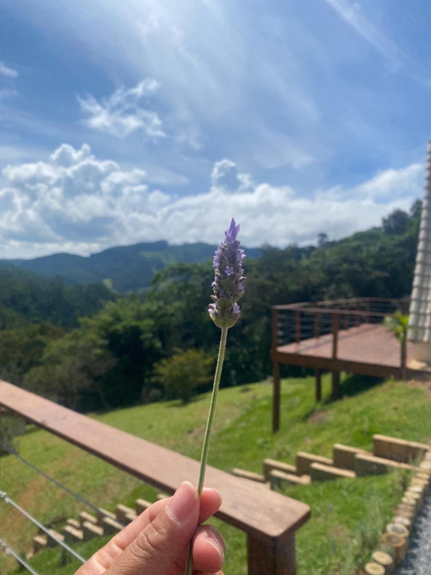 קונה Chales Fazenda Floresta Das Araucarias מראה חיצוני תמונה
