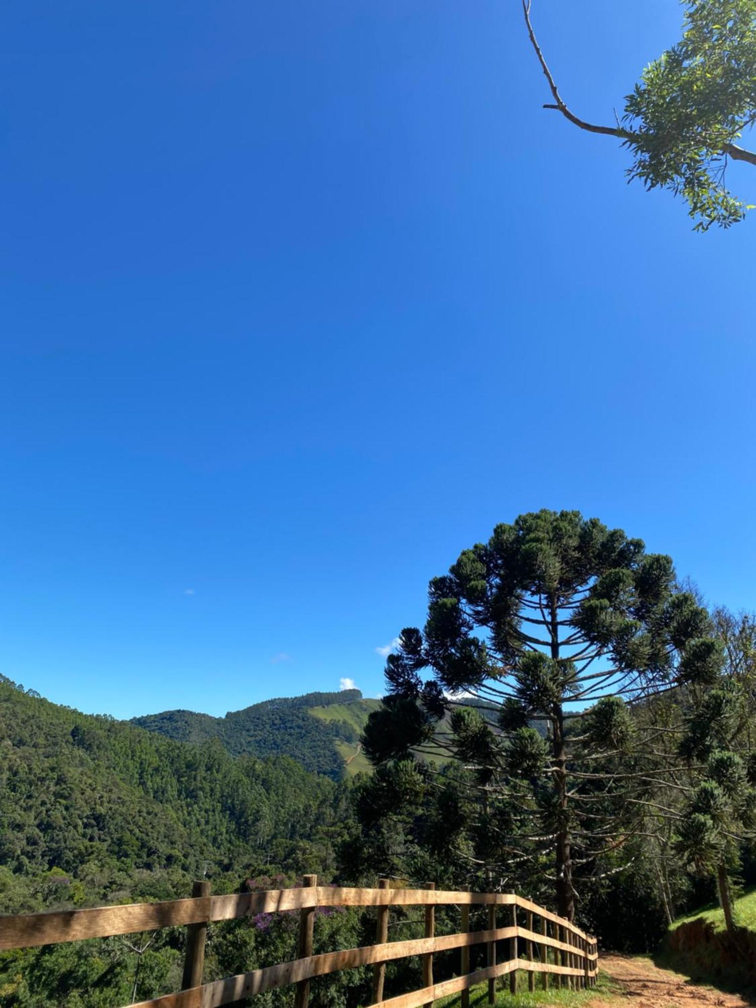 קונה Chales Fazenda Floresta Das Araucarias מראה חיצוני תמונה